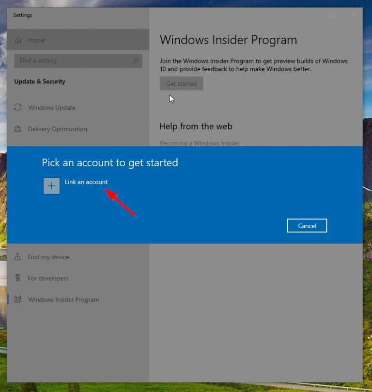 windows 11 download insider program